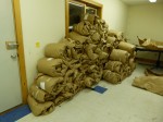 A large part of the 2012 clip is piled up against the wall in the CCNF Arena's fleece room. Each individual blanket was sheared off of the animals in a single piece, given a preliminary skirting, and then rolled up in the brown paper you see above. The fleeces will be opened and skirted further prior to processing or sending them to show.