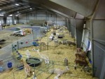 A view out the window of the CCNF Arena's fleece room looking out towards the eastern end of the building taken two days ago. That is the current maternity ward in the immediate foreground and you can just make out our chicken tractor (all hail the CCNG Guard Chickens!) at the far end of the building which is due to head down the hill and out to pasture in the coming days.