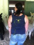 It's called taking one for the team. CCNF Herd Manager, Kimberly McAllister poses to show what happens when you get in the line of fire of one seriously pissed off (and very pregnant) CCNF Opal.