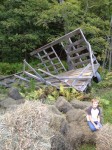 What can you say? Sh!t happens. Maxy poses with the remains of the runaway hay wagon. At least it was the final wagonload of 2012!