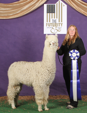 CCNF Results from the PAOBA Breeder’s Showcase Fleece Show