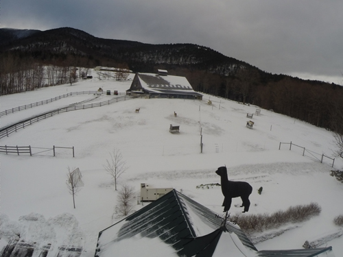 Winter came a little early to our neck of the woods this year! The Arch surveys his domain from atop the CCNF farm house with the Main Barn and the CCNF Arena in the background. Thanks to Sam Lutz and his quad-copter drone for the pic!