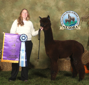 CCNF Skyhawk moves on to bigger and better things!