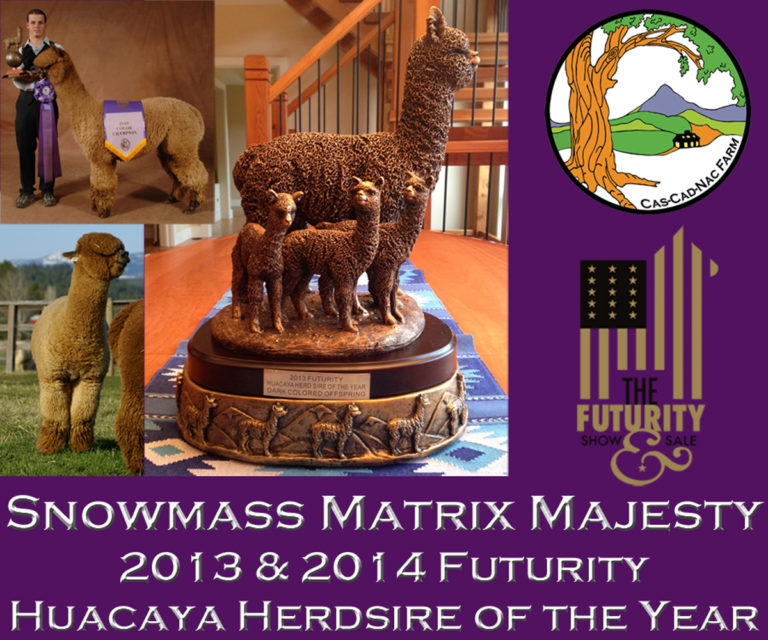 Snowmass Matrix Majesty Now Closed + Herdsires for Helping