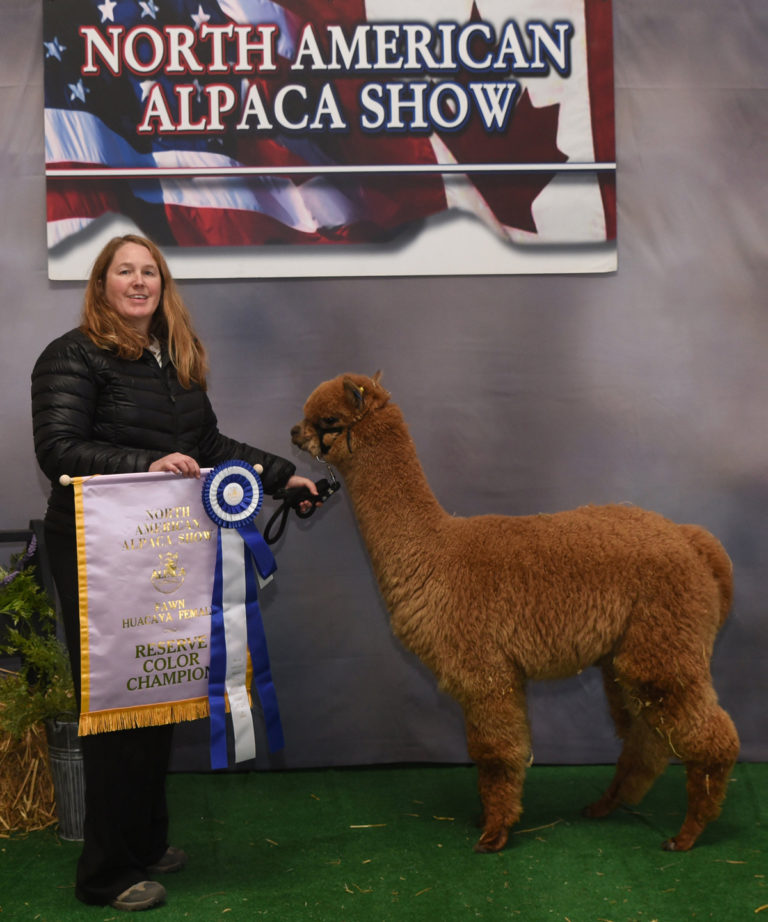 CCNF Adanna, CCNF Charmaine, and the Parade of Champions Auction: Closing Arguments