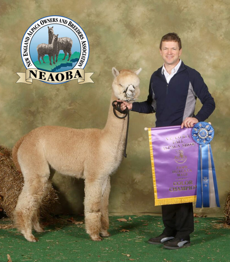 A new partnership with an old friend!