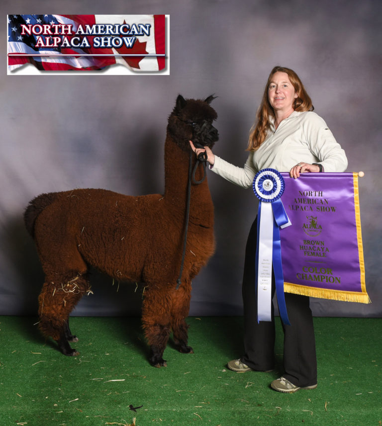 CCNF Results from the 2018 North American Alpaca Show & Northeast Alpaca Expo