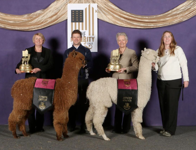 CCNF at the 2018 Futurity: Know Who You Are