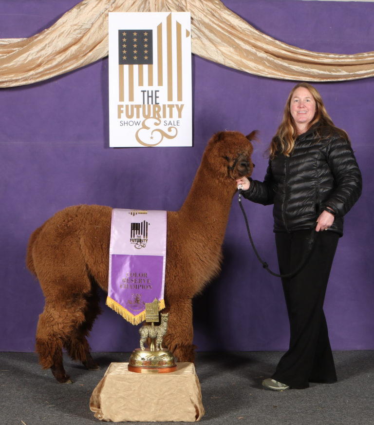 Thanks To Glyptis Manor Alpacas & Alpaca Palace!