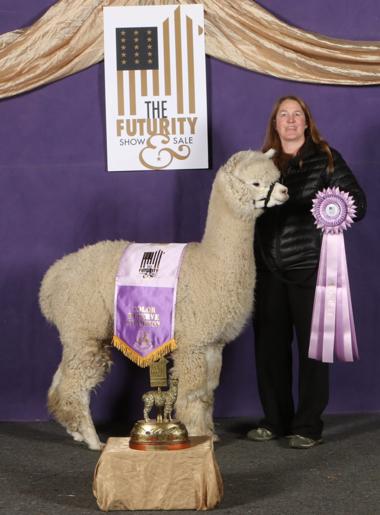 CCNF Bataclan: another puzzle piece falls into place…