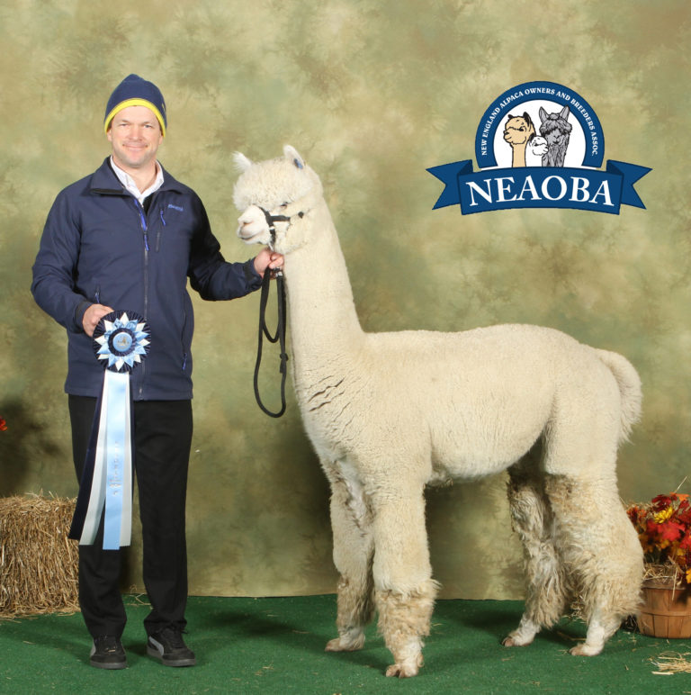 CCNF at the 2018 Showtacular