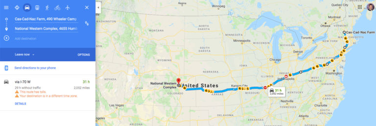 Of Roadtrips, Blizzards, and Returning to the Scene of the (original) Crime: CCNF at the 2019 AOA National Show