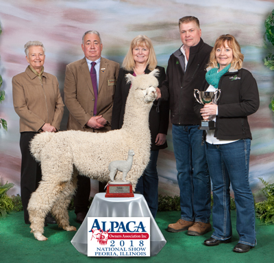 Irish Meadows’ Elite Max Joins the Fray!