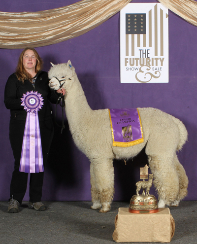 CCNF at the 2019 Futurity