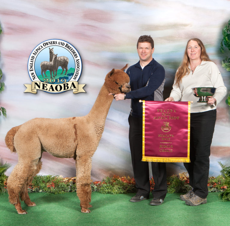 CCNF at the 2019 Showtacular