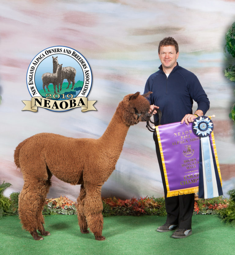 Thank You Kendall Creek Farms Alpacas!