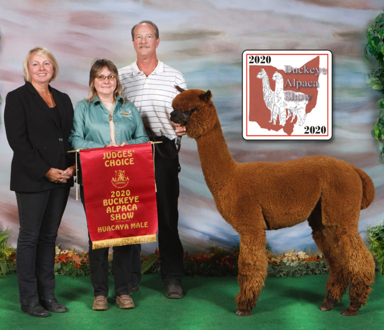 CCNF Dominion Grows Into His Name