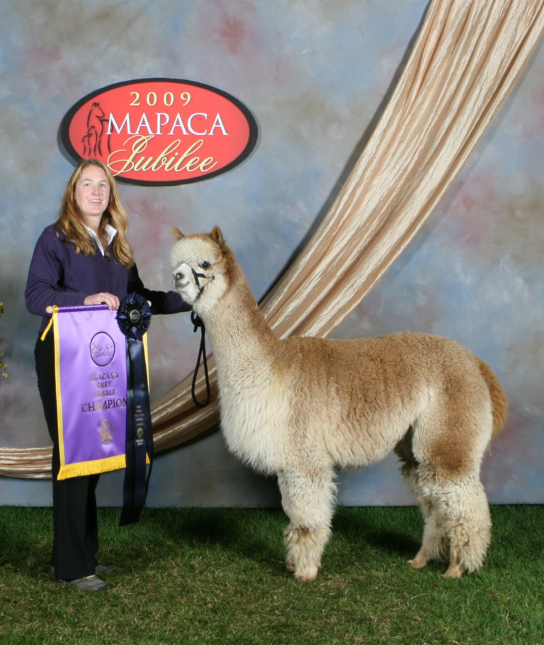 In Honor of a Reproductive Metronome: CCNF Marguerite