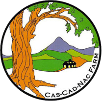 Cas-Cad-Nac Farm Alpacas, Perkinsville, Vermont