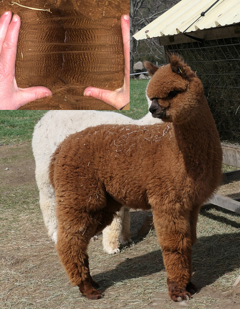 Thanks and Congratulations to Walnut Ridge Acres!