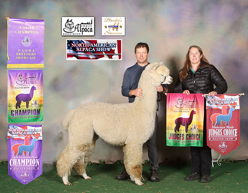 CCNF at the 2024 Alpaca Jamboree